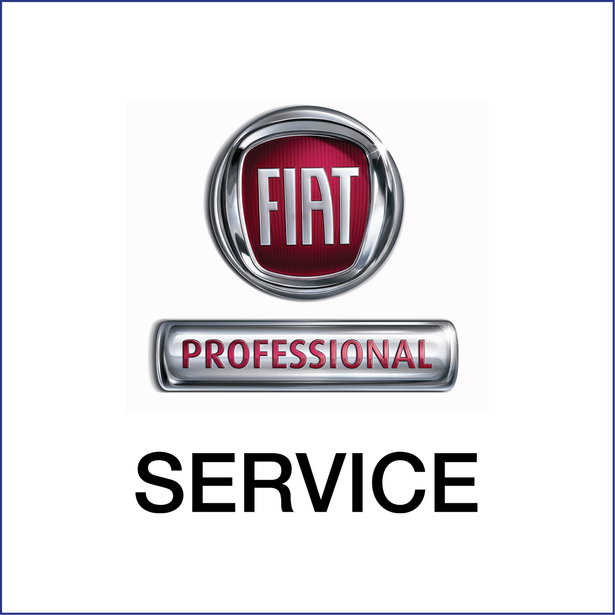 FIAT Professional Service